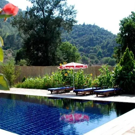 Beautiful Natural Stone House With Big Private Pool Kayakoy