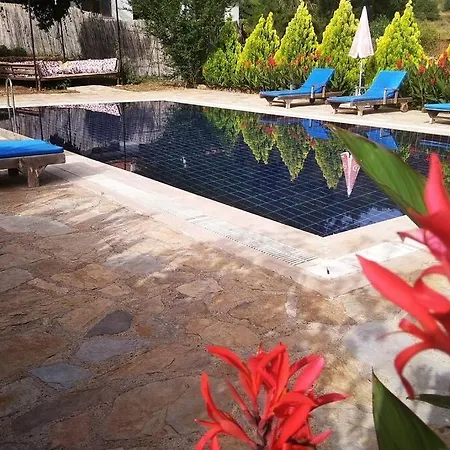 Beautiful Natural Stone House With Big Private Pool Vila *