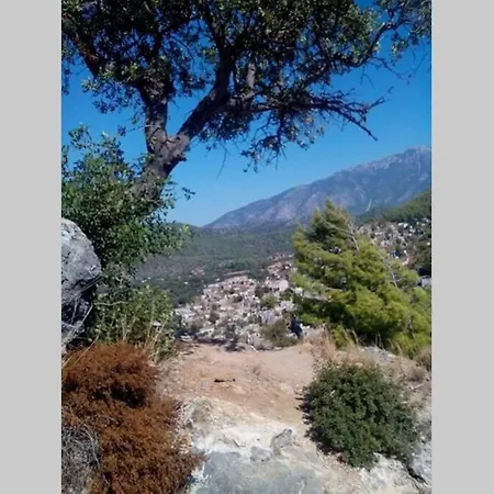 Vila Beautiful Natural Stone House With Big Private Pool