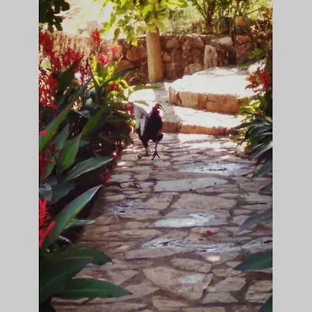 Beautiful Natural Stone House With Big Private Pool Vila Kayakoy