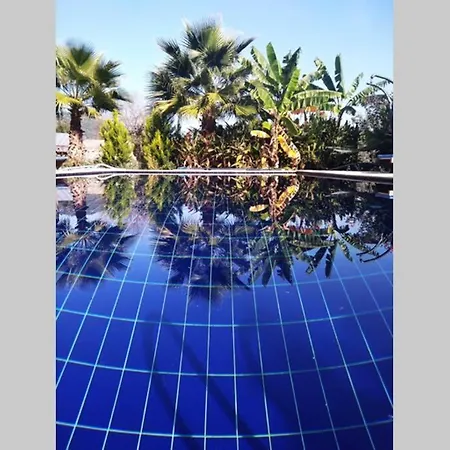 Beautiful Natural Stone House With Big Private Pool Vila *