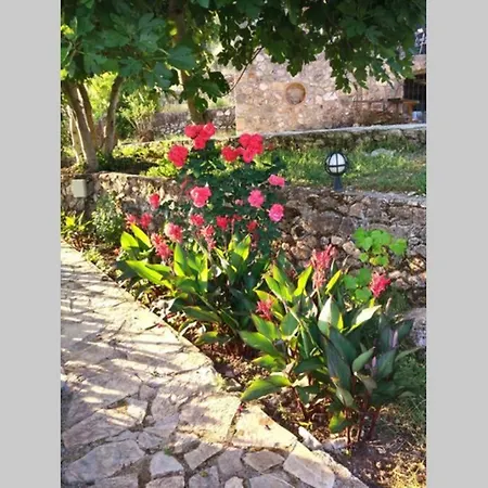 Beautiful Natural Stone House With Big Private Pool Vila *